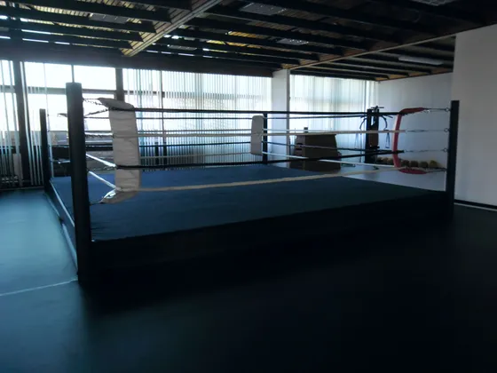 Floor Boxing Rings | Made in USA WHOLESALE Price | PRO FIGHT SHOP